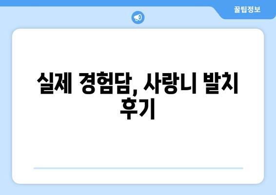 사랑니 발치, 어디서 할까? 치과 선택 가이드 | 사랑니, 발치, 비용, 후기, 추천