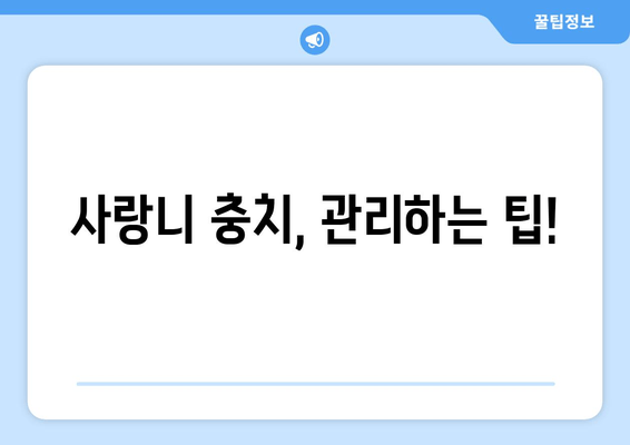 사랑니 충치, 치료 가능할까요? | 사랑니 충치 증상, 치료 방법, 예방법