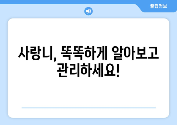 사랑니, 이제 걱정하지 마세요! | 사랑니 치과 정보 한눈에 보기