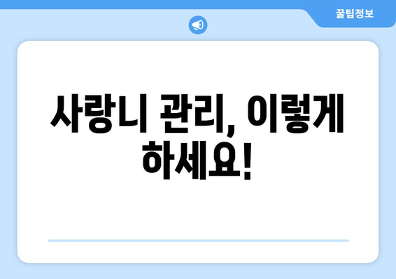 사랑니 충치, 방치하면 정말 위험할까요? | 사랑니 통증, 사랑니 발치, 치과 진료, 치료