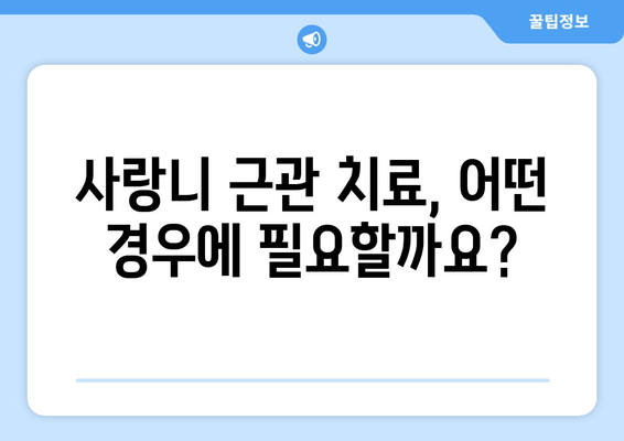 사랑니 근관 치료| 예방부터 치료까지 완벽 가이드 | 사랑니, 근관치료, 치과, 통증, 관리