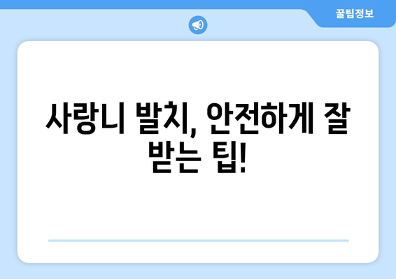 사랑니 발치, 꼭 해야 할까요? | 사랑니 발치 기준, 통증, 비용, 주의사항