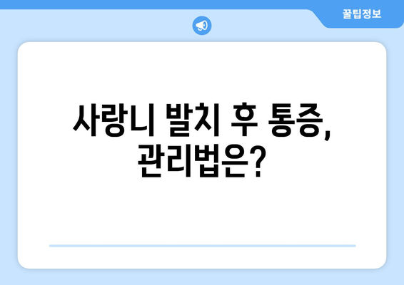 매복 사랑니 발치 전 꼭 체크해야 할 5가지 필수 사항 | 사랑니 발치, 치과, 통증, 주의사항, 비용