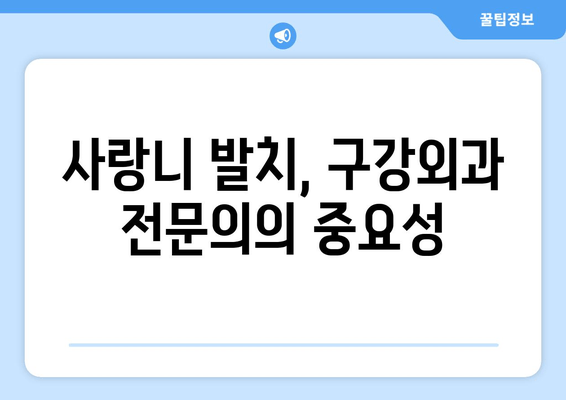 부암동 사랑니 발치, 구강외과 전문의가 중요한 이유 | 사랑니 발치, 구강외과, 전문의, 부암동