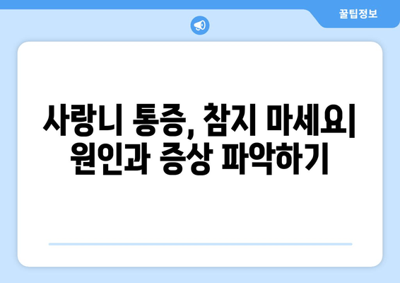 사랑니 통증, 더 악화되기 전에 해결하세요! | 사랑니, 발치, 치료, 통증, 붓기, 주의사항