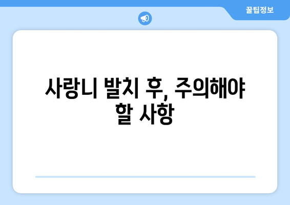 사랑니 통증, 더 악화되기 전에 해결하세요! | 사랑니, 발치, 치료, 통증, 붓기, 주의사항