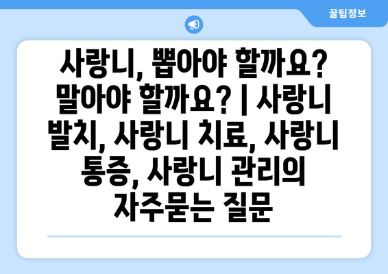 사랑니, 뽑아야 할까요? 말아야 할까요? | 사랑니 발치, 사랑니 치료, 사랑니 통증, 사랑니 관리