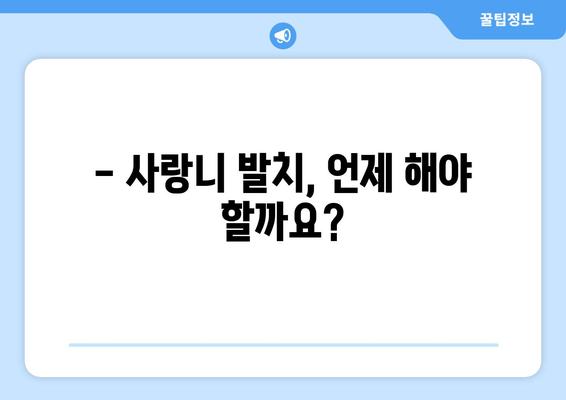 사랑니 발치 전 꼭 알아야 할 정보| 절차부터 주의사항까지 | 사랑니, 발치, 통증, 회복