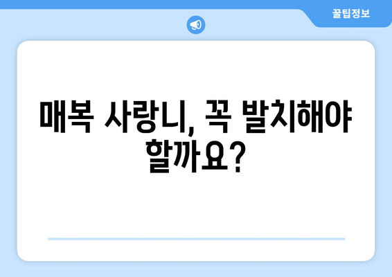 매복 사랑니 치료 전 꼭 확인해야 할 5가지 사항 | 사랑니 발치, 치과 상담, 치료 과정