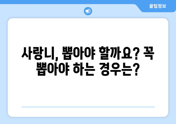 서면 사랑니 치과, 사례별 맞춤 안내| 발치부터 관리까지 | 사랑니, 서면 치과, 발치, 통증, 치료, 관리