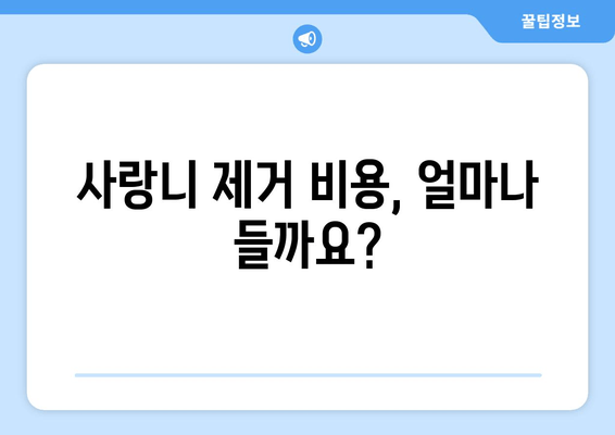 사랑니 제거, 꼭 알아야 할 5가지 정보 | 사랑니 발치, 통증, 회복, 주의사항, 비용