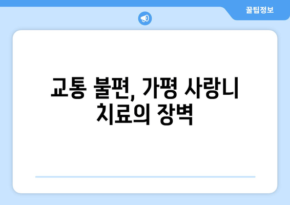 가평 지역 사랑니 치과 방문 어려움의 주요 원인과 해결 방안 | 사랑니, 치과, 가평, 교통, 진료, 정보