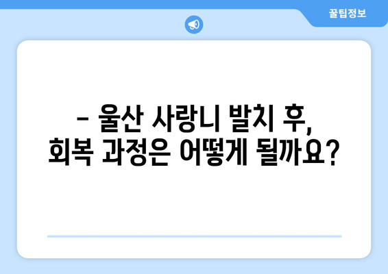 사랑니 발치 후 꼭 알아야 할 주의사항| 울산 지역 정보 | 사랑니 발치, 울산 치과, 회복 가이드, 부작용, 관리 팁