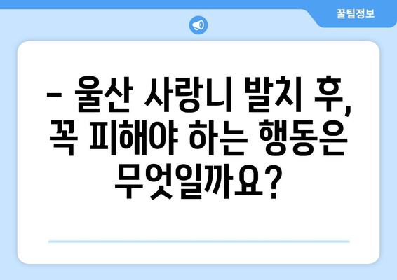 사랑니 발치 후 꼭 알아야 할 주의사항| 울산 지역 정보 | 사랑니 발치, 울산 치과, 회복 가이드, 부작용, 관리 팁