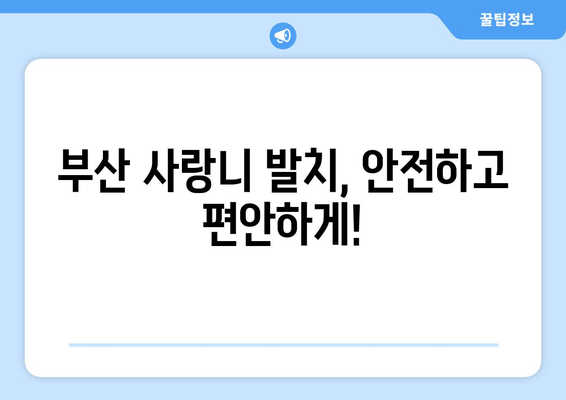 부산 사랑니 발치 통증, 이렇게 줄여보세요! | 사랑니 발치, 통증 최소화, 부산 치과 추천