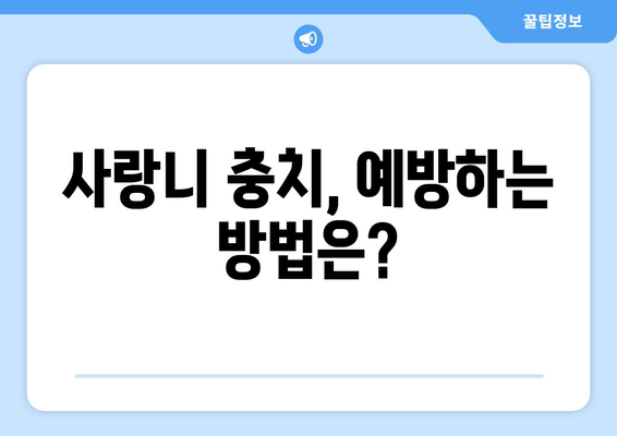 사랑니 충치, 치료 가능할까요? | 사랑니 충치 증상, 치료 방법, 예방법