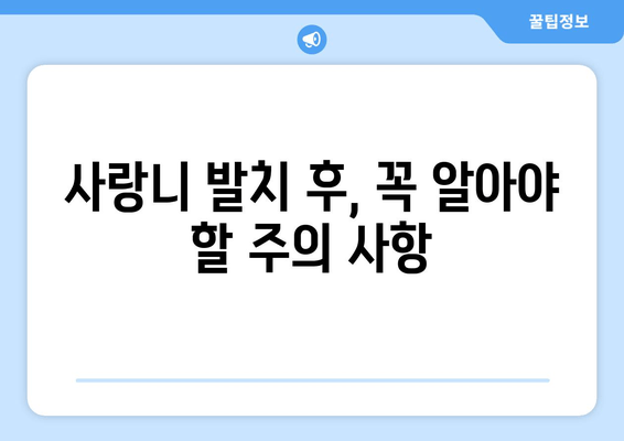 사랑니 발치 후, 꼭 알아야 할 주의 사항과 관리법 | 사랑니 발치, 회복, 통증, 부기, 식단, 관리