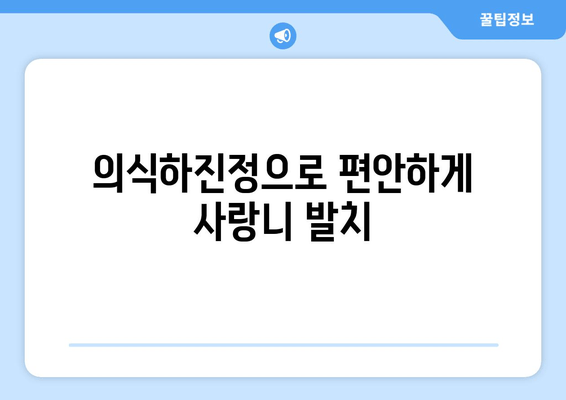 사랑니 발치 통증, 의식하진정법으로 최소화하기 | 사랑니 발치, 통증 관리, 의식하진정, 치과