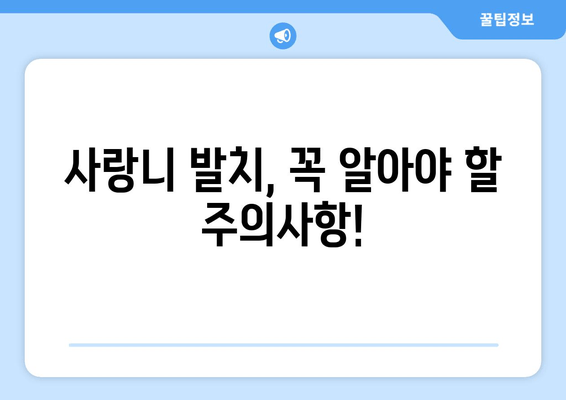 사랑니 발치, 두려워 말고 이렇게 해결하세요! | 사랑니 발치, 통증, 붓기, 회복, 팁, 주의사항