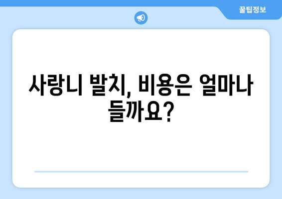 사랑니 발치, 꼭 알아야 할 핵심 정보 7가지 | 사랑니 발치, 통증, 부작용, 회복, 주의사항, 치과, 비용