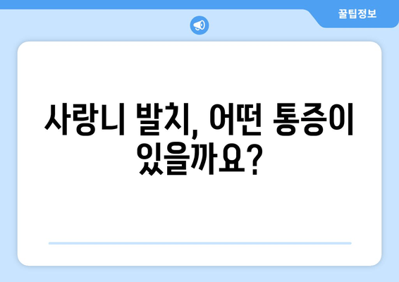 사랑니 발치, 꼭 알아야 할 필수 사항과 주의점 | 사랑니, 발치, 통증, 관리, 주의사항