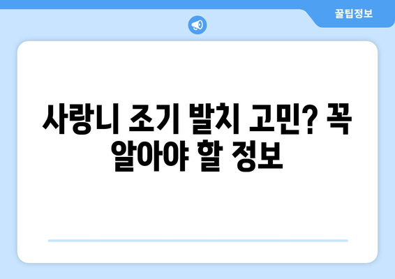 사랑니 조기 발치 고민? 꼭 알아야 할 정보 | 사랑니, 발치, 치과, 통증, 예방