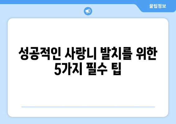 사랑니 발치, 두려움 대신 안심을! 성공적인 발치를 위한 5가지 팁 | 사랑니, 발치, 두려움, 팁, 가이드