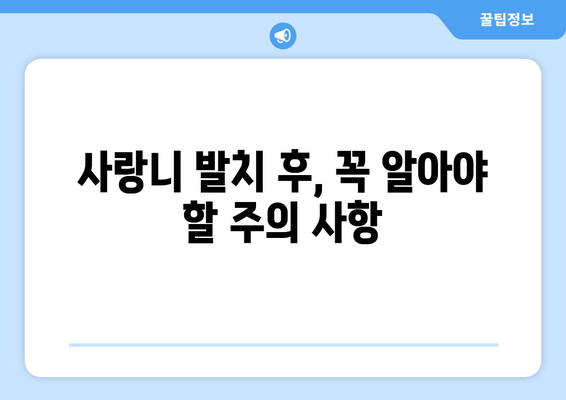 사랑니 발치, 왜 신중해야 할까요? | 사랑니 발치 고려 사항, 주의 사항, 후유증, 부작용