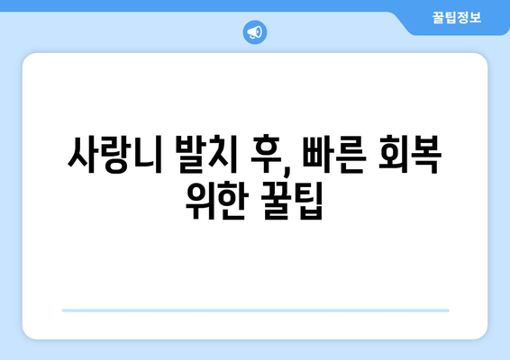 부산 사랑니 발치 통증 덜어내는 꿀팁| 성공적인 발치를 위한 가이드 | 사랑니, 발치, 통증, 부산 치과, 팁
