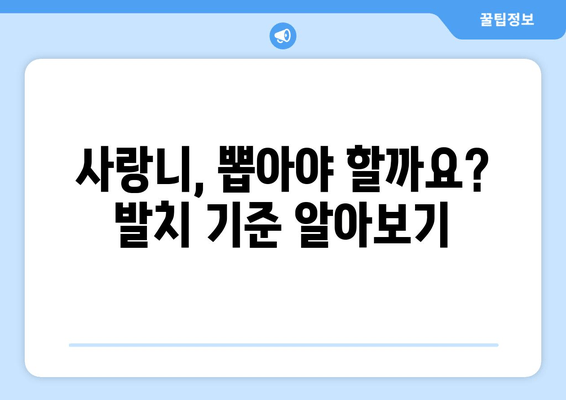 사랑니 발치, 꼭 해야 할까요? | 사랑니 발치 기준, 통증, 비용, 주의사항