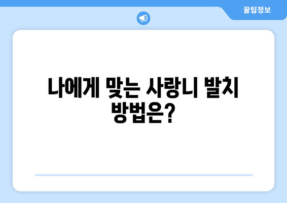 사랑니 발치| 나에게 딱 맞는 수술, 개인 맞춤형 치료 계획 | 사랑니, 발치, 치과, 구강 건강, 치료