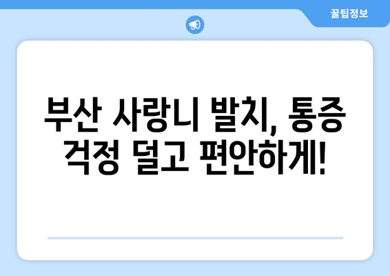 부산 사랑니 발치 통증, 이렇게 줄여보세요! | 사랑니 발치, 통증 최소화, 부산 치과 추천