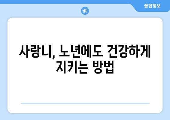 노인 사랑니 충치, 놓치지 말아야 할 특별 관리법 | 사랑니, 충치, 노년, 치과 관리, 주의사항