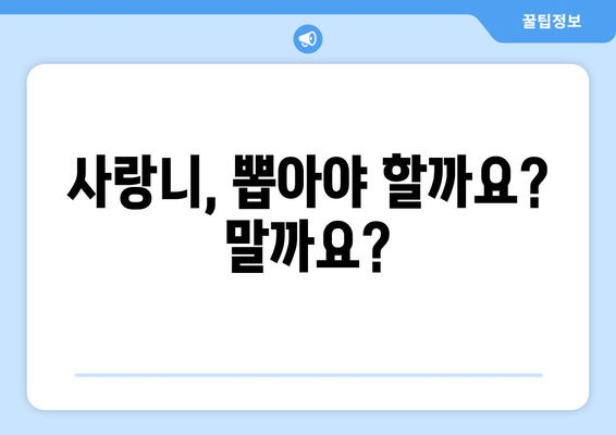 사랑니 발치, 꼭 해야 할까요? | 사랑니 발치 필수성, 장단점 비교, 발치 시기