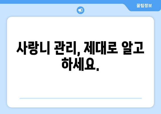 사랑니 치과 처치, 두려워 말고 지혜롭게 대처하세요! | 사랑니 발치, 통증 완화, 치과 치료 팁
