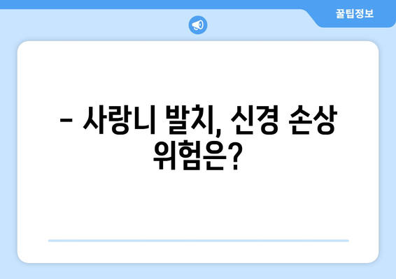 신경과 가까운 사랑니, 어떻게 해야 할까요? | 사랑니 발치, 신경 손상, 치과 진료, 치료 방법, 주의 사항