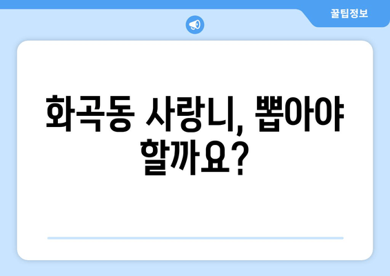 화곡동 사랑니, 뽑아야 할까요? 고민 해결 가이드 | 사랑니 통증, 발치, 치과 추천