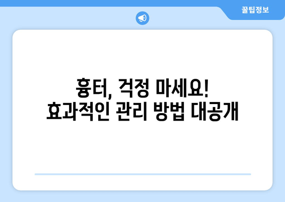 여름철 허벅지 지방흡입 후 압박복과 흉터 관리| 궁금한 모든 것 | 압박복 종류, 착용 기간, 흉터 관리 방법, 주의 사항