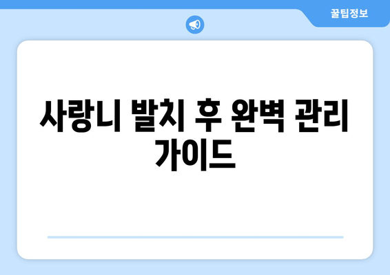 사랑니 발치 후 완벽 관리 가이드| 주의 사항, 관리 방법, 팁까지 | 사랑니, 발치, 통증, 회복, 관리