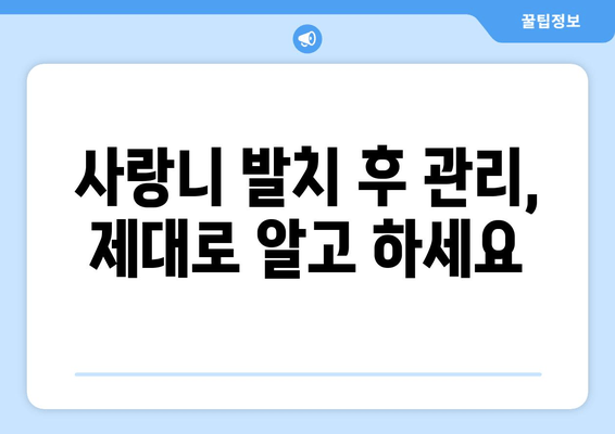 사랑니 발치, 두려움 대신 안심을! 성공적인 발치를 위한 5가지 팁 | 사랑니, 발치, 두려움, 팁, 가이드