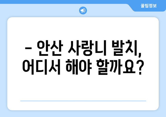 안산 사랑니 통증, 더 악화되기 전에 해결하세요! | 사랑니 발치, 치과 추천, 통증 완화 팁