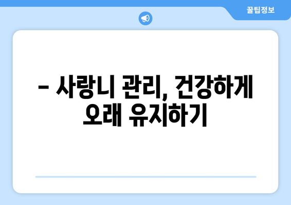 사랑니 치료, 이제 막막하지 않아요! | 사랑니 발치, 사랑니 통증, 사랑니 관리, 사랑니 치료 과정, 사랑니 비용