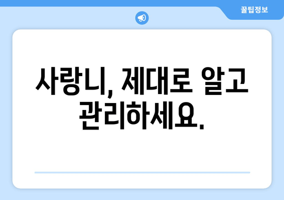 사랑니, 이제 걱정 끝! 치과 선택부터 진료까지 한눈에 확인하세요 | 사랑니, 치과, 진료, 정보, 가이드