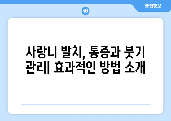 사랑니 발치 성공 사례| 환자들의 경험과 전문가 조언 | 사랑니, 발치, 통증, 회복, 후기