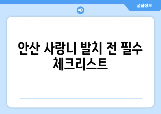 안산 사랑니 발치 전 꼭 확인해야 할 8가지 체크리스트 | 매복 사랑니, 안산 치과, 발치 준비, 주의 사항