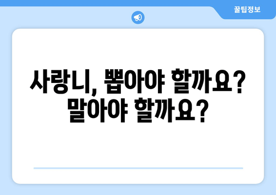 사랑니, 뽑아야 할까요? 말아야 할까요? | 사랑니 발치, 사랑니 치료, 사랑니 통증, 사랑니 관리