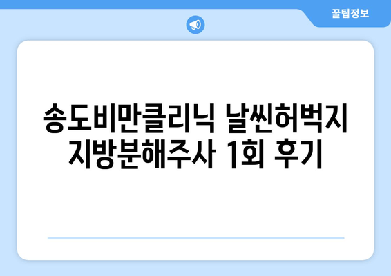 송도비만클리닉 날씬허벅지 지방분해주사 1회 후기| 효과는? | 허벅지, 지방분해, 송도, 비만클리닉, 후기