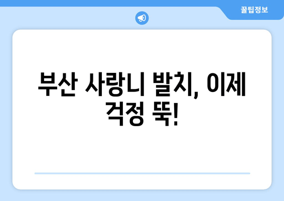 부산 사랑니 발치 통증 덜어내는 꿀팁| 성공적인 발치를 위한 가이드 | 사랑니, 발치, 통증, 부산 치과, 팁