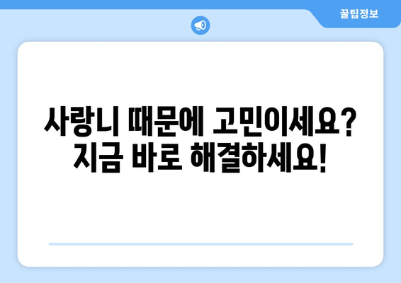 사랑니, 이제 걱정 끝! 치과 선택부터 진료까지 한눈에 확인하세요 | 사랑니, 치과, 진료, 정보, 가이드