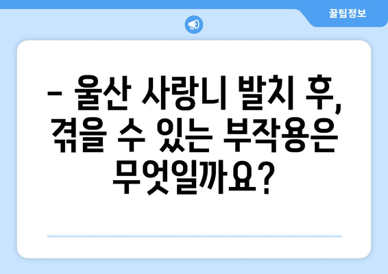 사랑니 발치 후 꼭 알아야 할 주의사항| 울산 지역 정보 | 사랑니 발치, 울산 치과, 회복 가이드, 부작용, 관리 팁